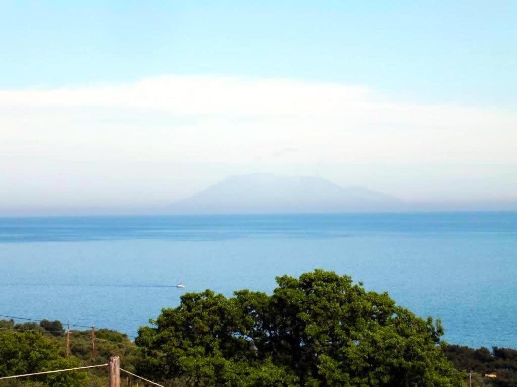 Thasos Seaside Serenity - Seaview & Garden Nests Apartman Asztrída Kültér fotó