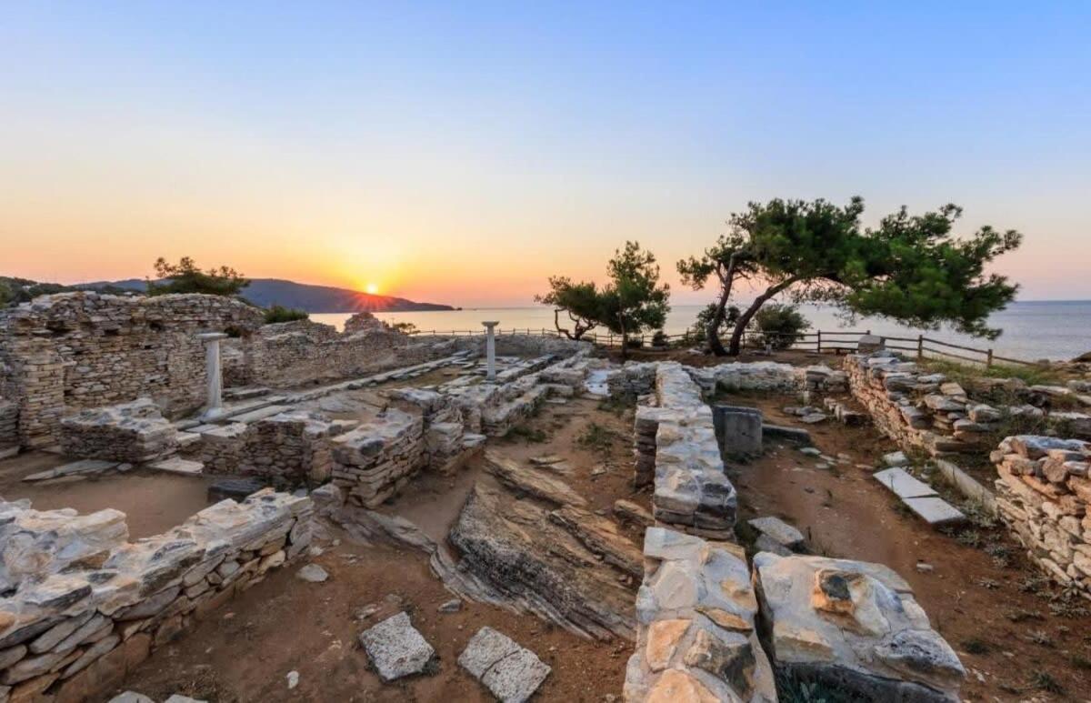 Thasos Seaside Serenity - Seaview & Garden Nests Apartman Asztrída Kültér fotó